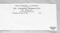 Image Associated With the Occurence